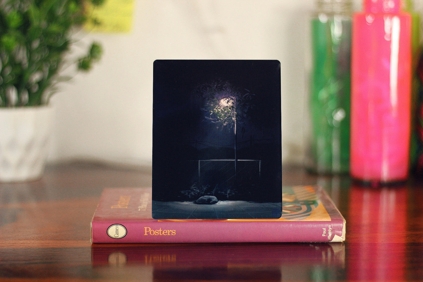 Doggo's starry night