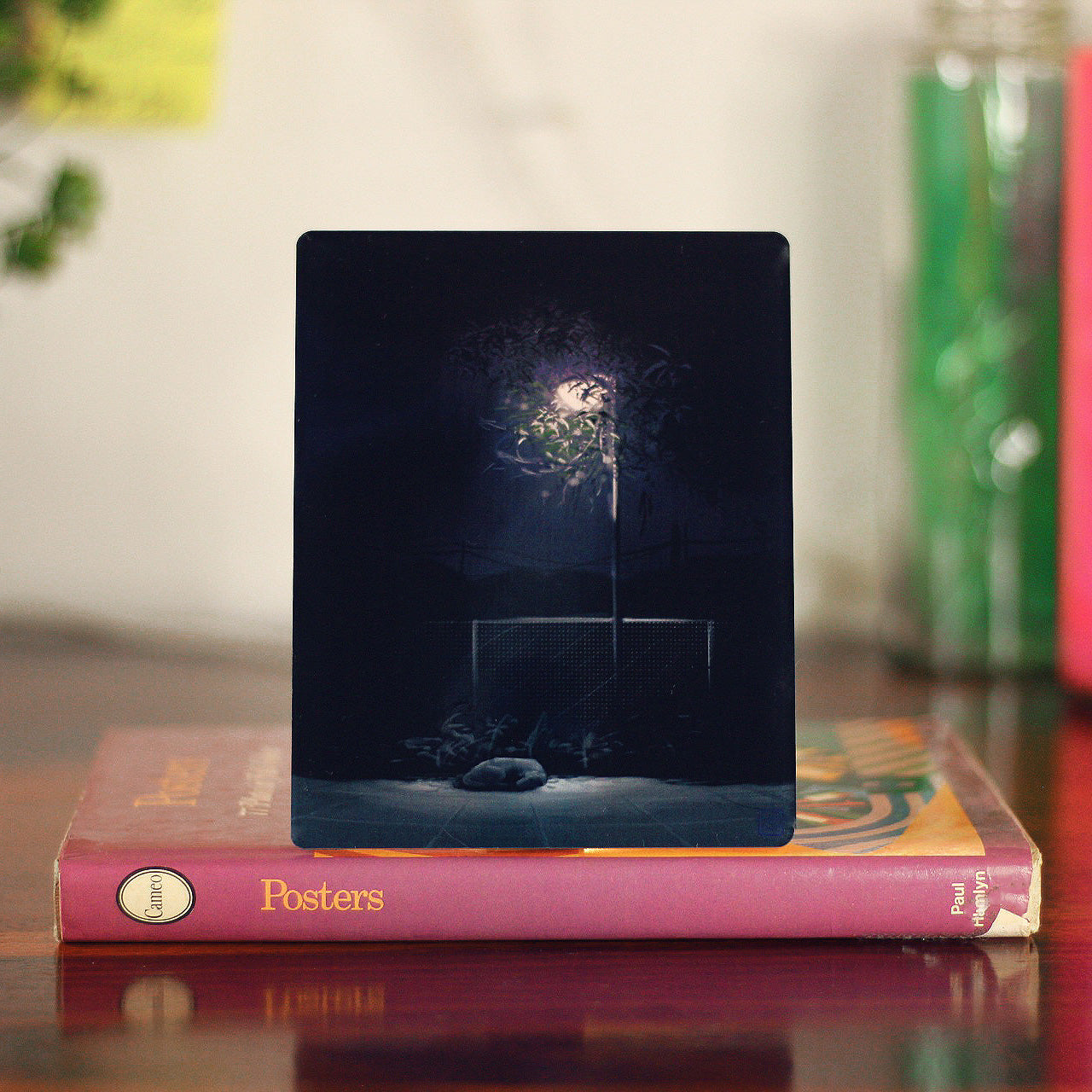 Doggo's starry night